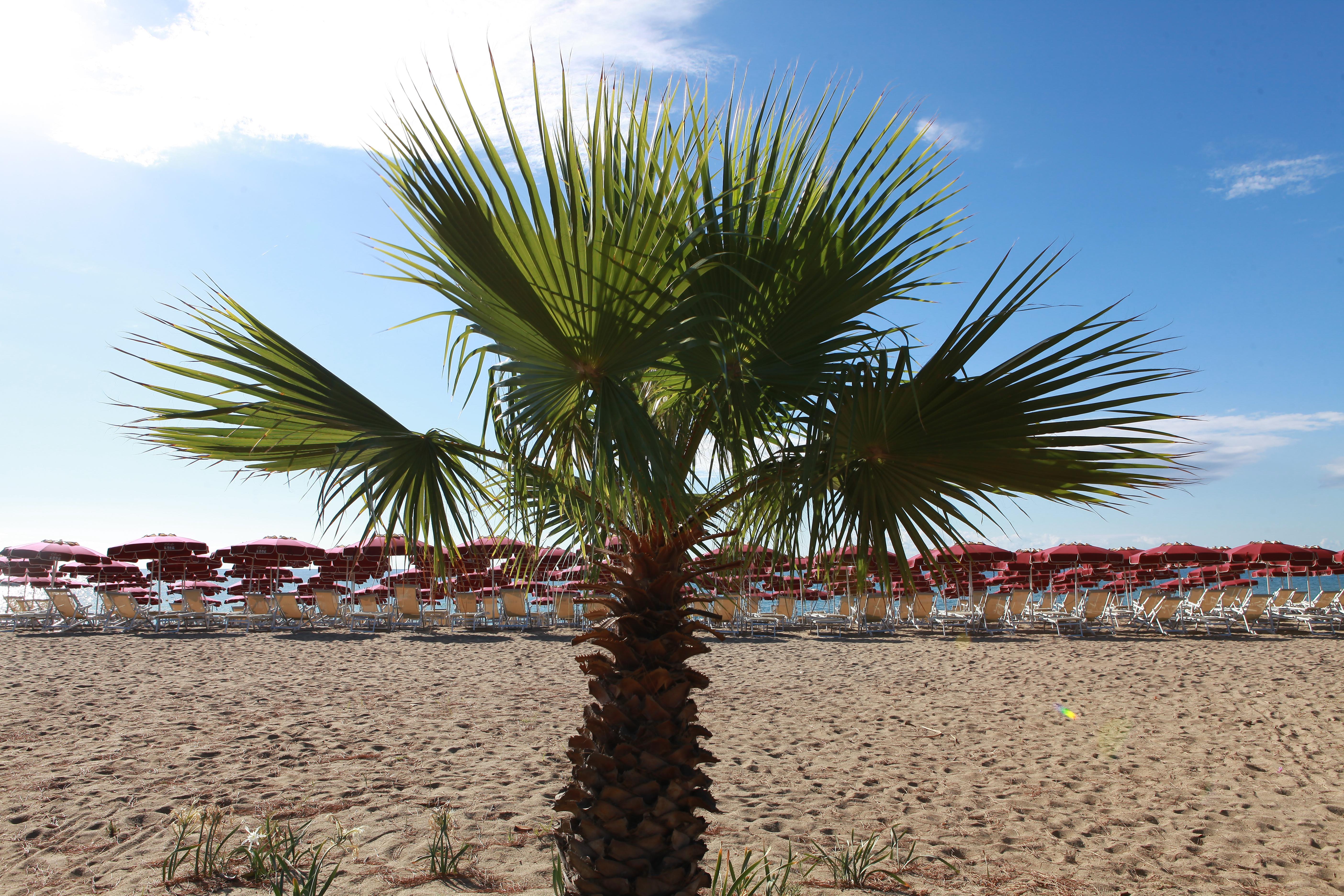 Club Esse Sunbeach Hotel Squillace Exterior photo